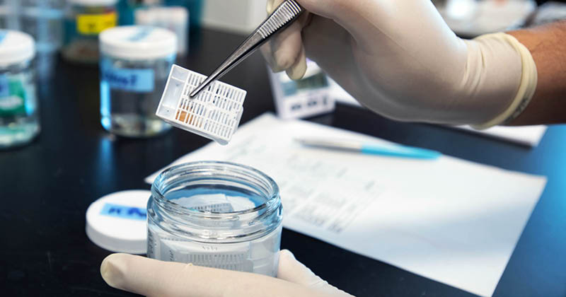 UPMC, clinical,  editorial,  Laboratory,  PMR,  Children's Hospital of Pittsburgh (CHP),  Corina Bondi,  Eleni Moschonas,  Jeffrey Cheng,  Lab Staff,  Piper Rennerfeldt,  Research Lab,  Safar Center UPMC Childrens Hospital of Pittsburgh (CHP), Corina Bondi, Eleni Moschonas, Jeffrey Cheng, Lab Staff, Laboratory, PMR, Piper Rennerfeldt, Research Lab, Safar Center, consent signed;