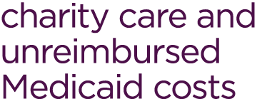 charity care and unreimbursed Medicaid costs